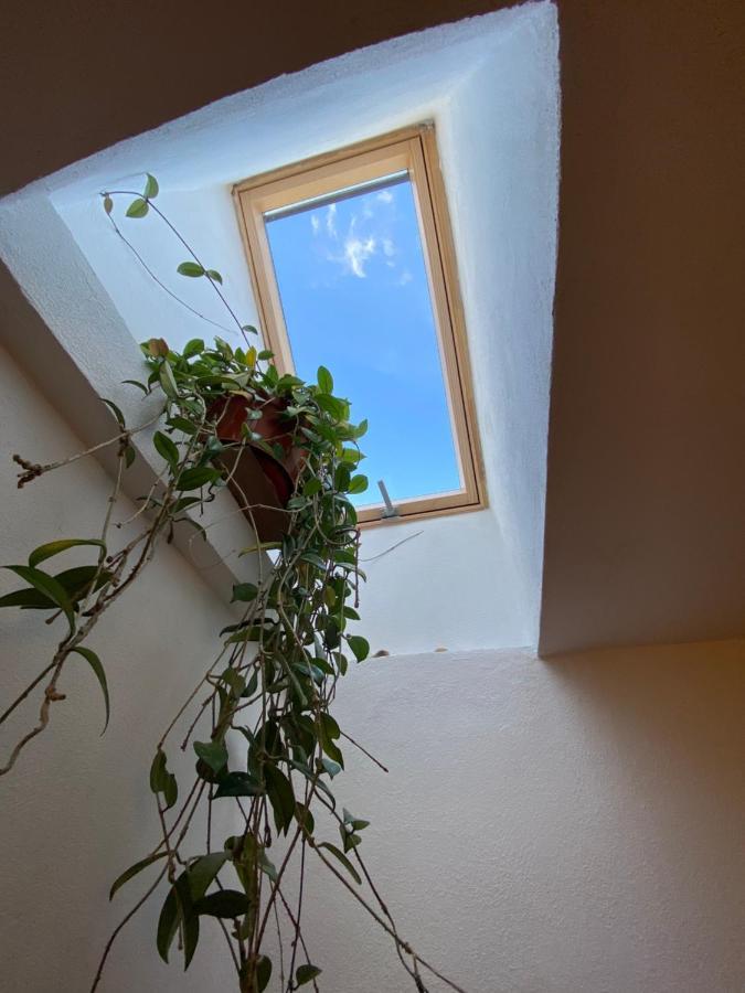 Hotel Casa Mili à Grinties Extérieur photo